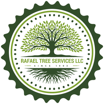 Rafael Tree Service Logo