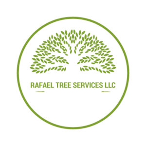 Logo Footer - Rafael Tree Services